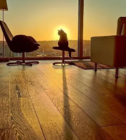 With Great View
